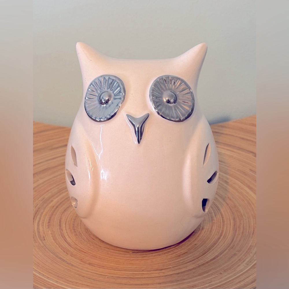 White Owl with Silver Eyes GC Natural Home Potpourri Pot